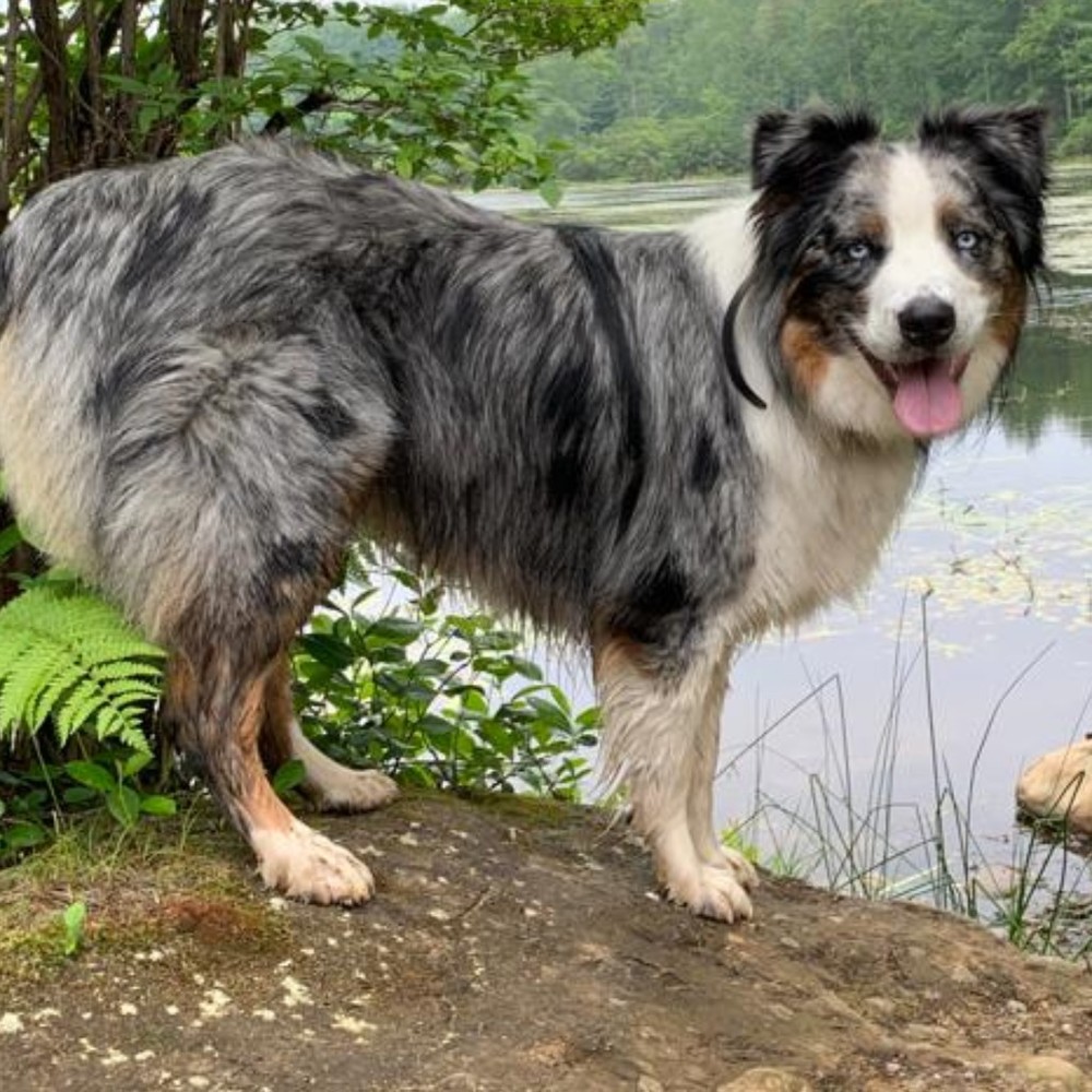 Meet your Posher, Sheree